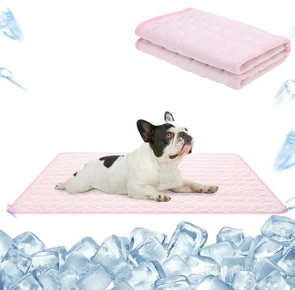 🧊Premium Cooling Mat For Pet