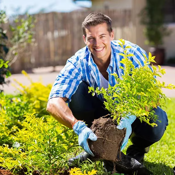 🔥BUY 1 GET 1 FREE🔥Soil Improvement Loosening Agent