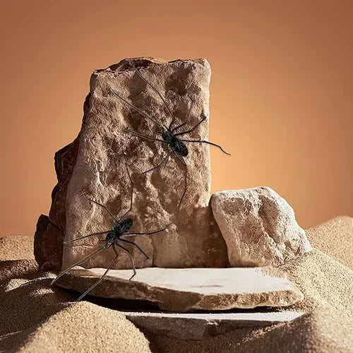 🎁Spider Fridge Magnet