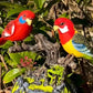 🔥HOT SALE🦜Electric battery-powered voice-controlled parrots