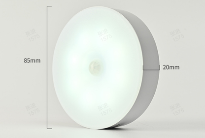 USB Rechargeable Motion Sensor Night Light – Warm or Cool Light
