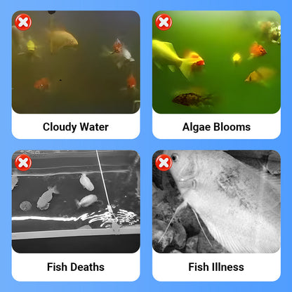 🐠BUY MORE GET MORE FREE💧Powerful Aquarium Water Clarifier – Clears Cloudy Water, Safe for Fish & Fast-Acting🌿