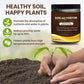 🔥BUY 1 GET 1 FREE🔥Soil Improvement Loosening Agent