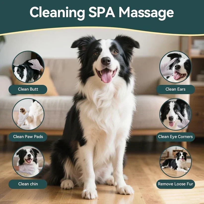 🥳2026 HOT SALE🥳💞50K+ SOLD! 🐾🧤 Rinse-Free Pet Glove Wipes – five-finger design cleans face, paws & underbelly. Deodorizing, antibacterial & hypoallergenic. No bath needed! ✨✅