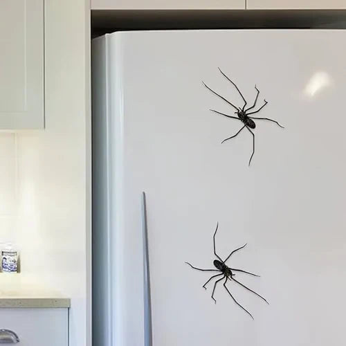 🎁Spider Fridge Magnet