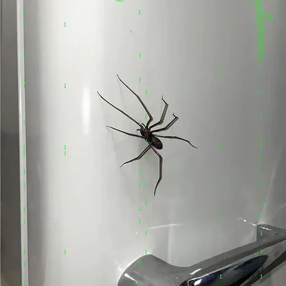 🎁Spider Fridge Magnet