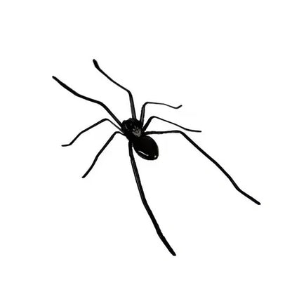 🎁Spider Fridge Magnet