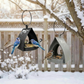 Hanging Bird Feeder for Garden with Roof