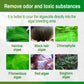 🐟Moss Remover for Fish Tank