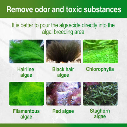 🐟Moss Remover for Fish Tank