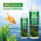 🐟Moss Remover for Fish Tank