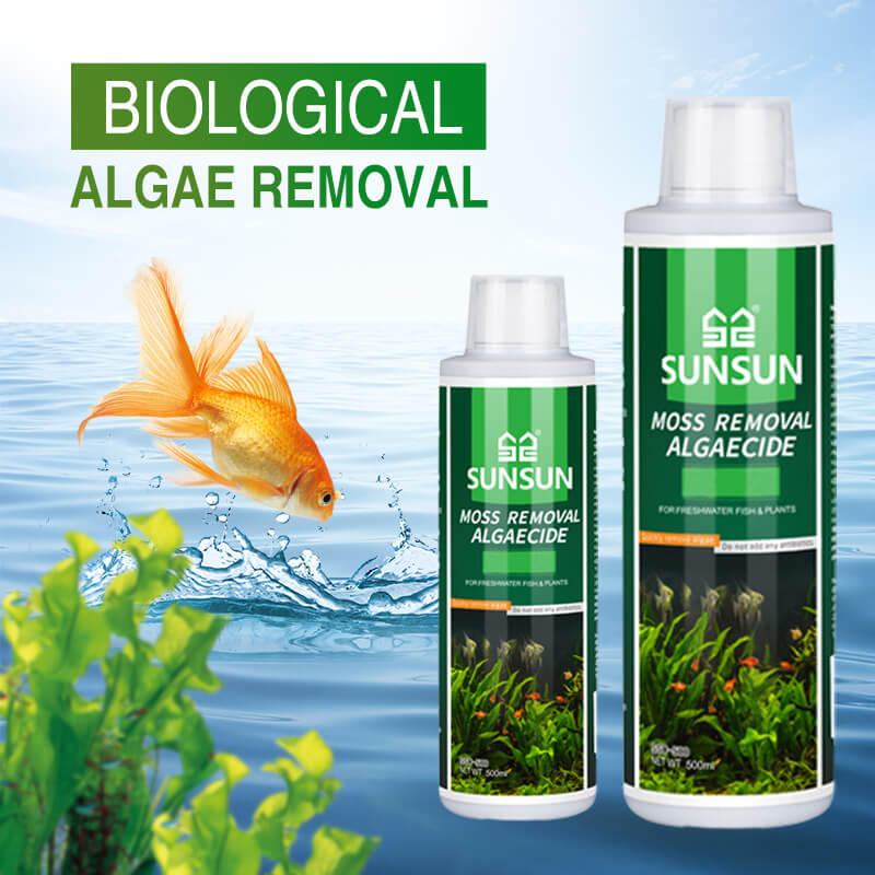 🐟Moss Remover for Fish Tank