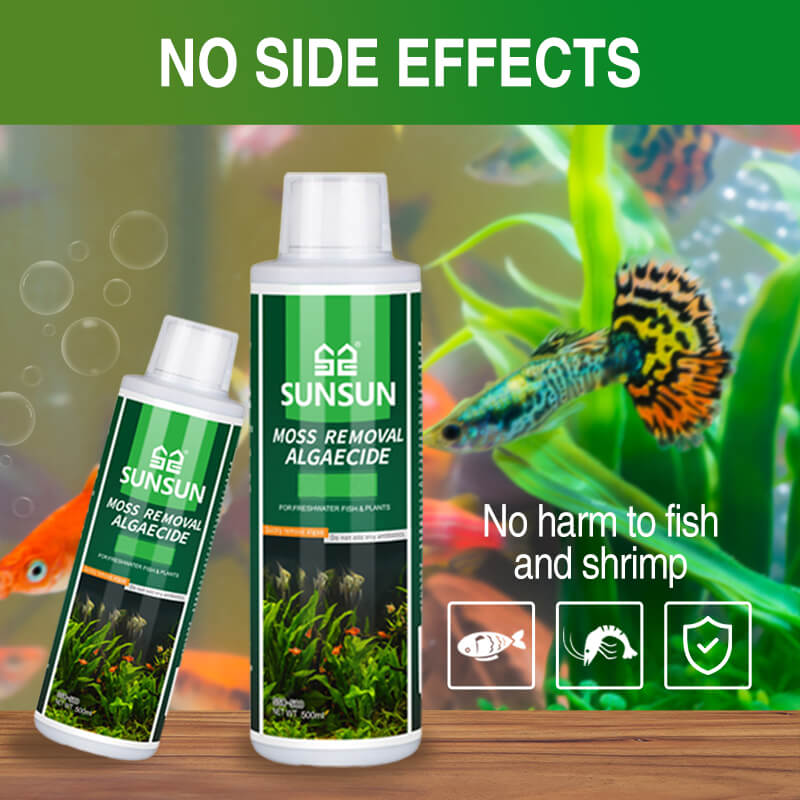 🐟Moss Remover for Fish Tank