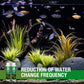 🐟Moss Remover for Fish Tank