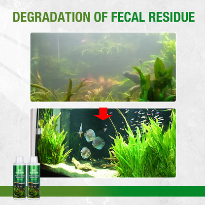 🐟Moss Remover for Fish Tank