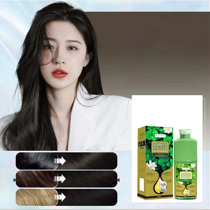 🏆 Last Day Special Price 16.99! 💇‍♀️Long‑Lasting Plant‑Based Foam Hair Dye｜Ammonia‑Free Easy DIY At‑Home Foam Hair Color