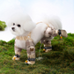 Outdoor Dust-Proof Pants for Dogs