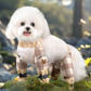 Outdoor Dust-Proof Pants for Dogs