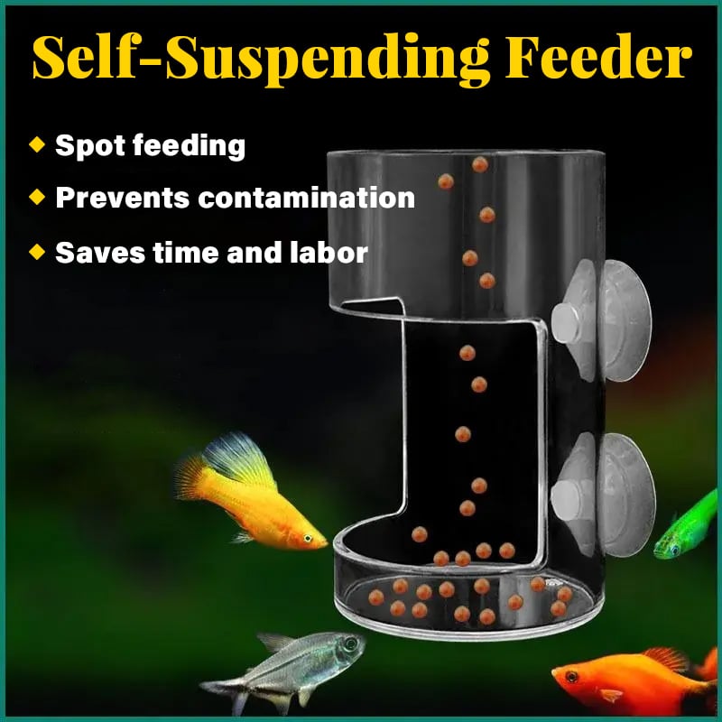 Aquarium Feeding Ring and Tray