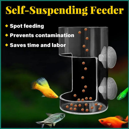 Aquarium Feeding Ring and Tray