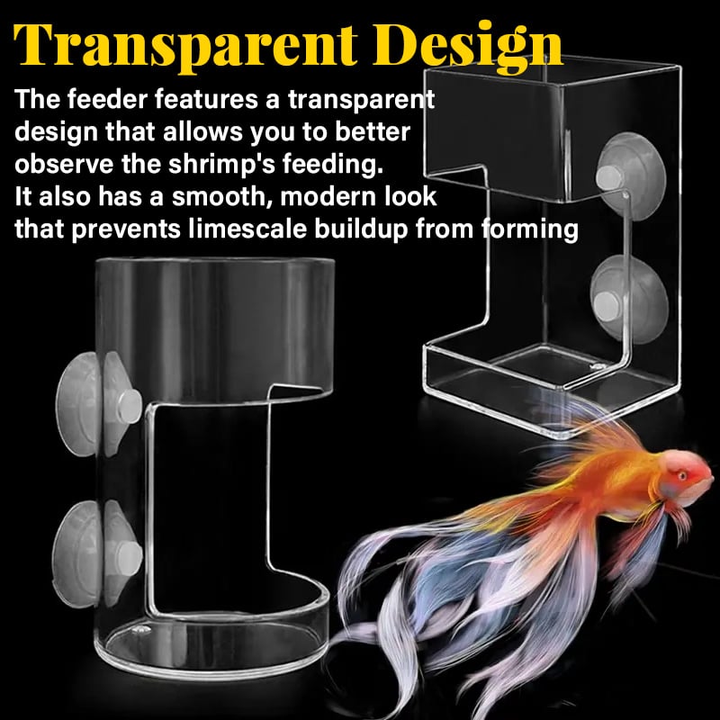 Aquarium Feeding Ring and Tray