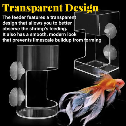 Aquarium Feeding Ring and Tray