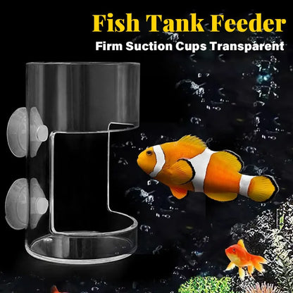 Aquarium Feeding Ring and Tray