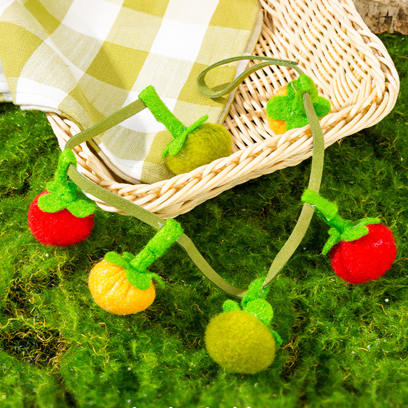 Interactive Fruit-Shaped Catnip Toy String