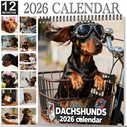 💥2026 Cute Dachshund Wall Calendar – 12-Month Planner, Perfect Christmas & New Year Gift