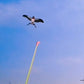 🪁Fishing Rod Kites – Easy to Control, Boosts Coordination & Fun Outdoor Play 👦