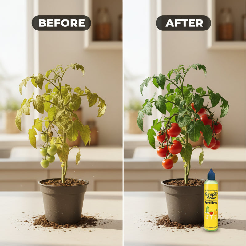 No Dilution Required Vegetable & Fruit Fertilizer
