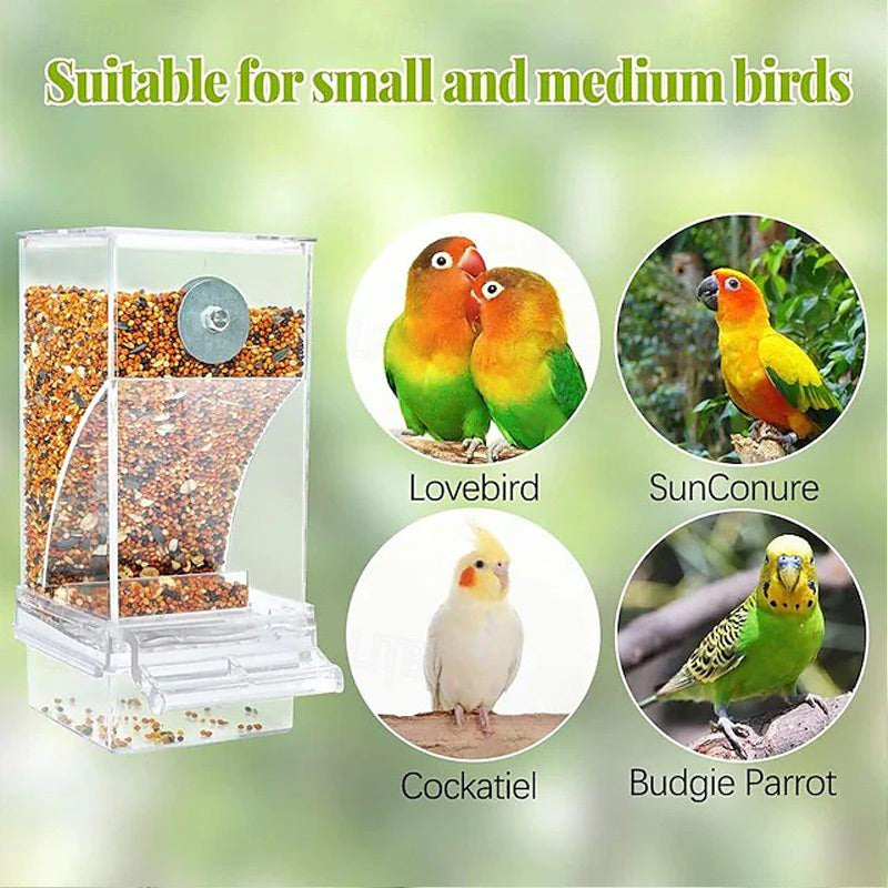 🎉Limited‑Time 60% OFF 🐦No Mess Automatic Bird Feeder