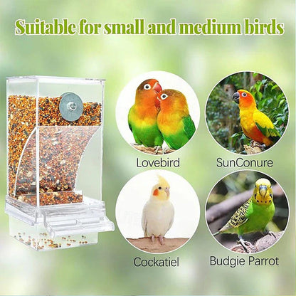 🎉Limited‑Time 60% OFF 🐦No Mess Automatic Bird Feeder