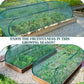 🔥Hot Sale 50% OFF🔥Pop-Up Plant Protection Mesh Cover