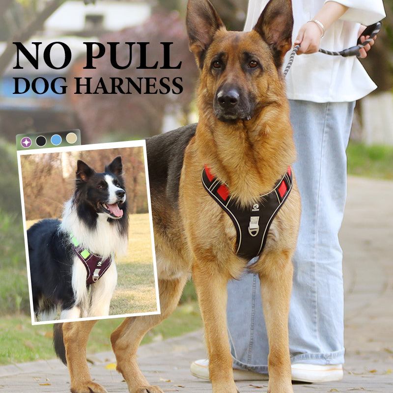 ⏳Time-Limited Special⏰No Pull Dog Harness with Leash & LED Collar – Secure & Comfortable ✨