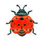 3D Bee, Butterfly, and Ladybird Wall Hangings