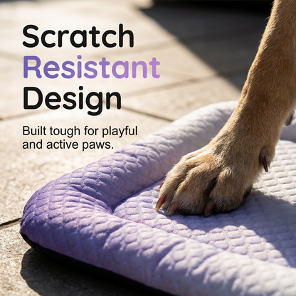 🥳2026 HOT SALE🥳💞50K+ SOLD!🐶❄️ 50% OFF! Cooling Gel Mat for Pets – No refrigeration needed, instant heat relief. Breathable, non‑toxic. Helps pets sleep cool all summer! 🌿✨