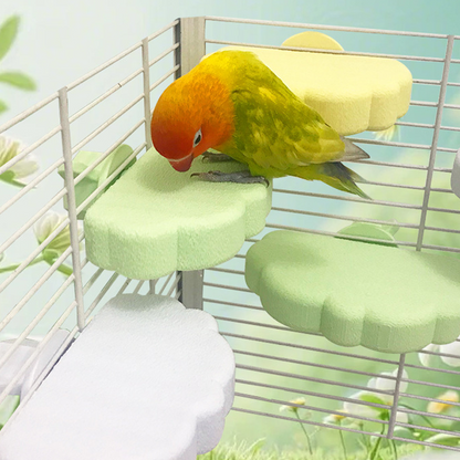Cute Cloud-Shaped Bird Perch Platform