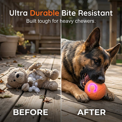 Auto Bouncing Smart Pet Ball