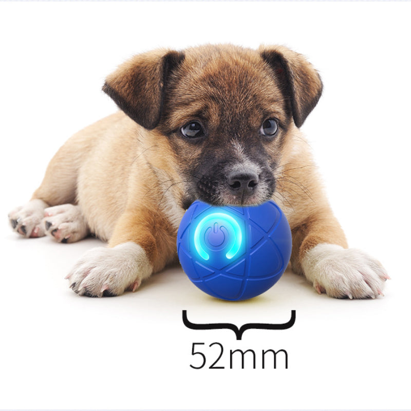 Auto Bouncing Smart Pet Ball