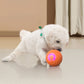 Auto Bouncing Smart Pet Ball