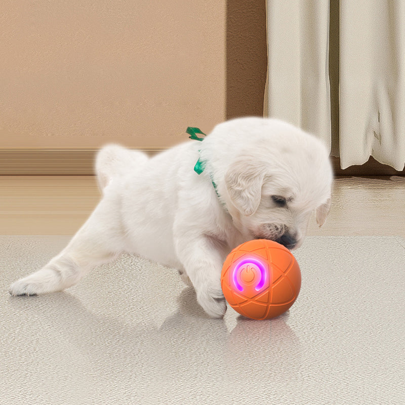 Auto Bouncing Smart Pet Ball