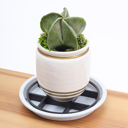 Root-Saving Pot Riser