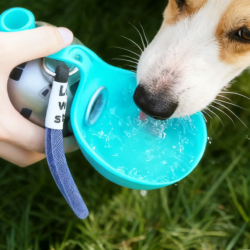 Foldable Pet Water Bottle for Travel