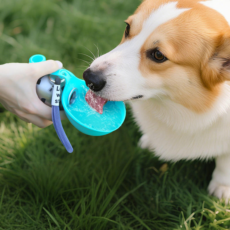 Foldable Pet Water Bottle for Travel