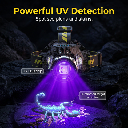 Rechargeable Multi-Light LED Headlamp