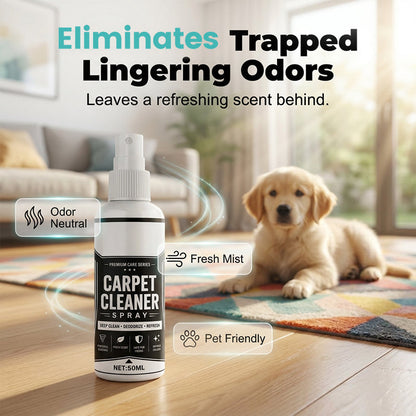 🥳 2026 – Now on sale 🥳💞 Over 50,000 sold! 🧼💨 Deep-cleaning spray for carpets and fabrics – its micro-foam removes deep-seated grime and stains, and eliminates odours. 🏠✨