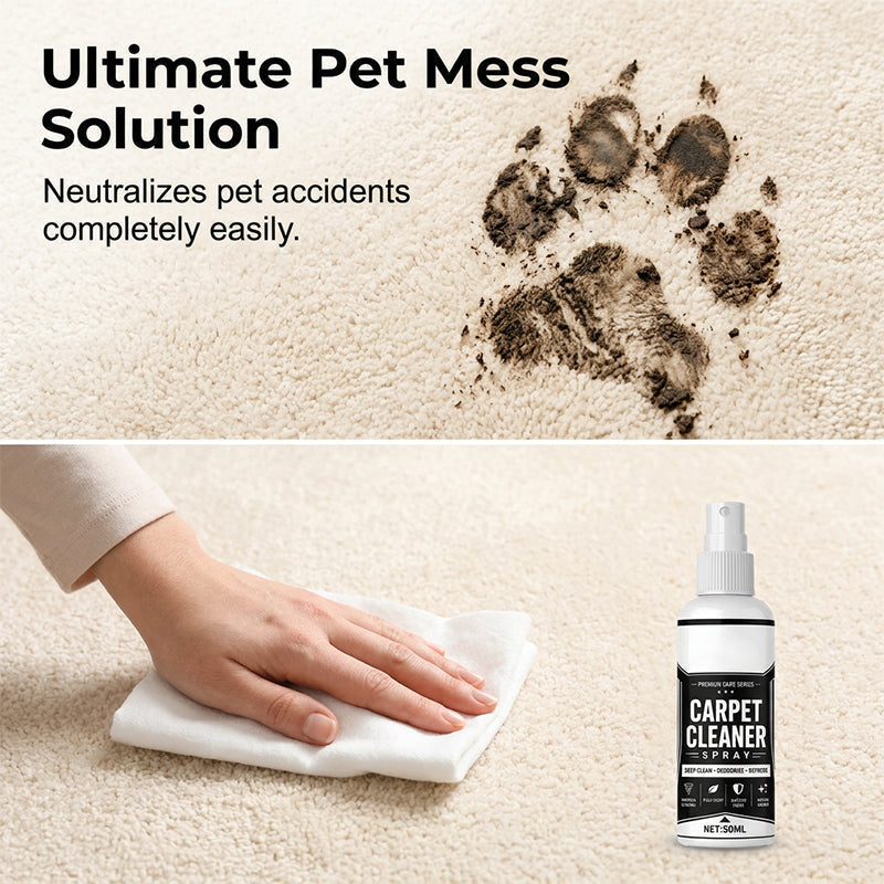 🥳 2026 – Now on sale 🥳💞 Over 50,000 sold! 🧼💨 Deep-cleaning spray for carpets and fabrics – its micro-foam removes deep-seated grime and stains, and eliminates odours. 🏠✨