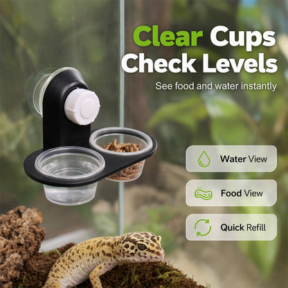 📢📢50% OFF !! ⏰Double Reptile Feeding Ledge with Bowls