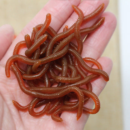 🎣 Soft Earthworm Lures – Shrimp scent, 100 pack ✨